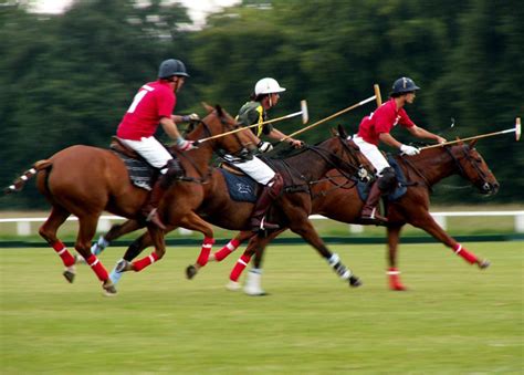 The influence of culture and tradition on polo horse mascot attire